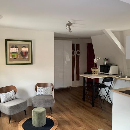 Coquet Studio Colmar Centre Екстер'єр фото