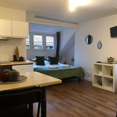 Coquet Studio Colmar Centre Екстер'єр фото