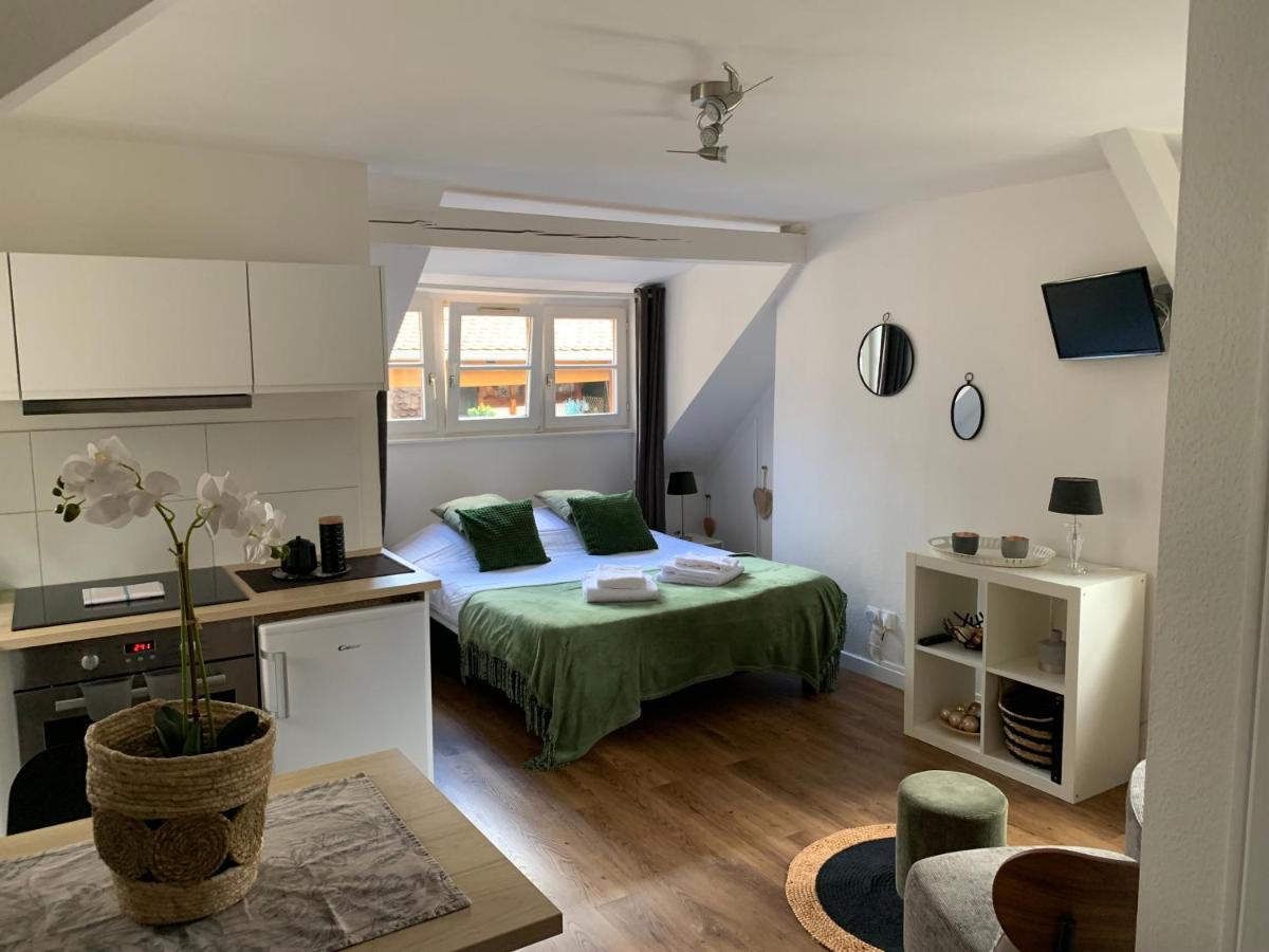 Coquet Studio Colmar Centre Екстер'єр фото